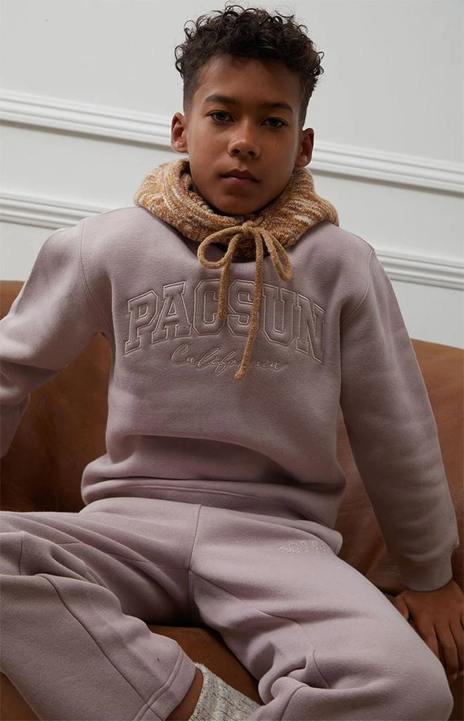 商品PacSun Kids|Light Gray Embroidered Crew Neck Sweatshirt,价格¥112,第3张图片详细描述