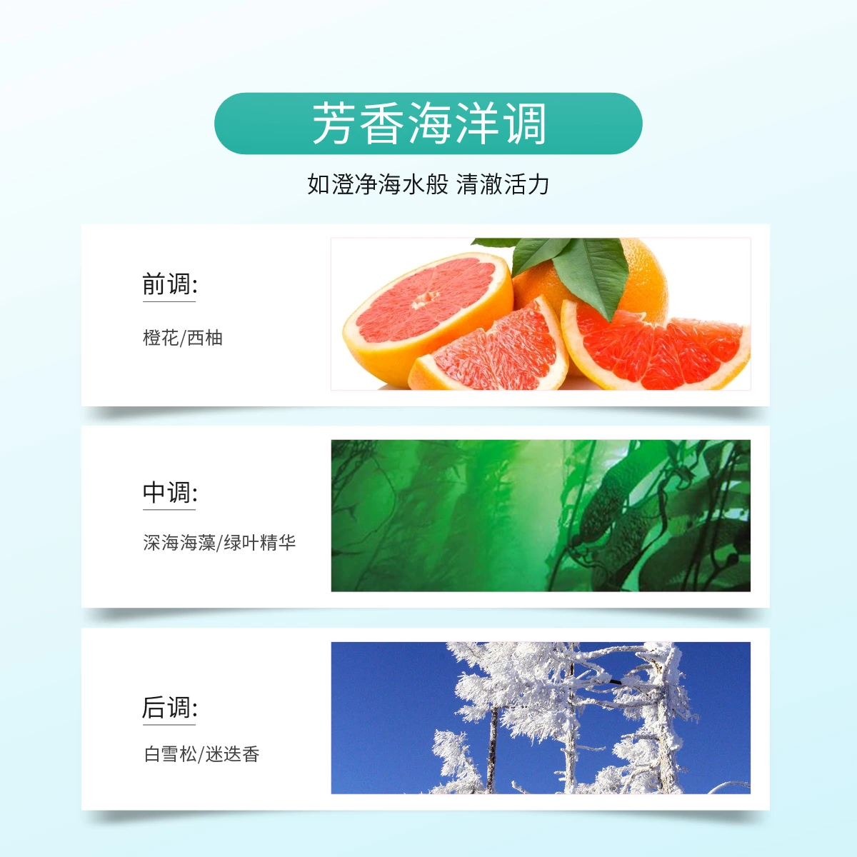 宝格丽海蓝淡香水50ml/100ml 商品