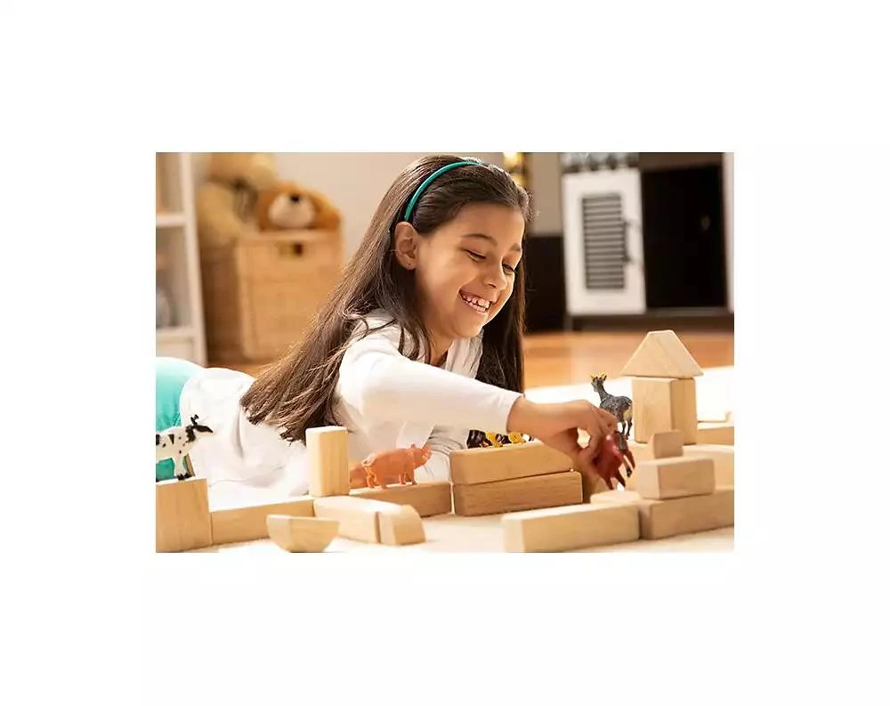 Melissa & Doug Standard Unit Solid-Wood Building Blocks With Wooden Storage Tray (60 pcs) 商品