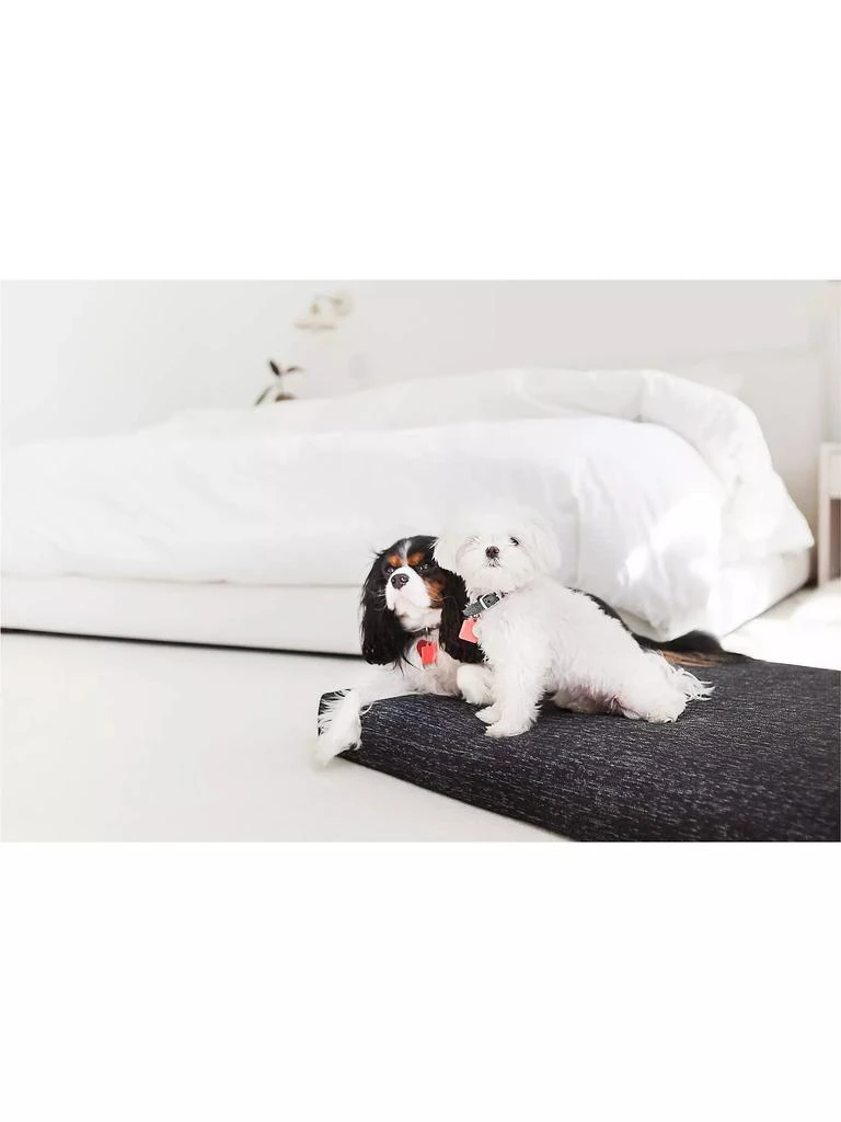 商品Lay Lo|Minimal Dog Bed,价格¥936,第4张图片详细描述
