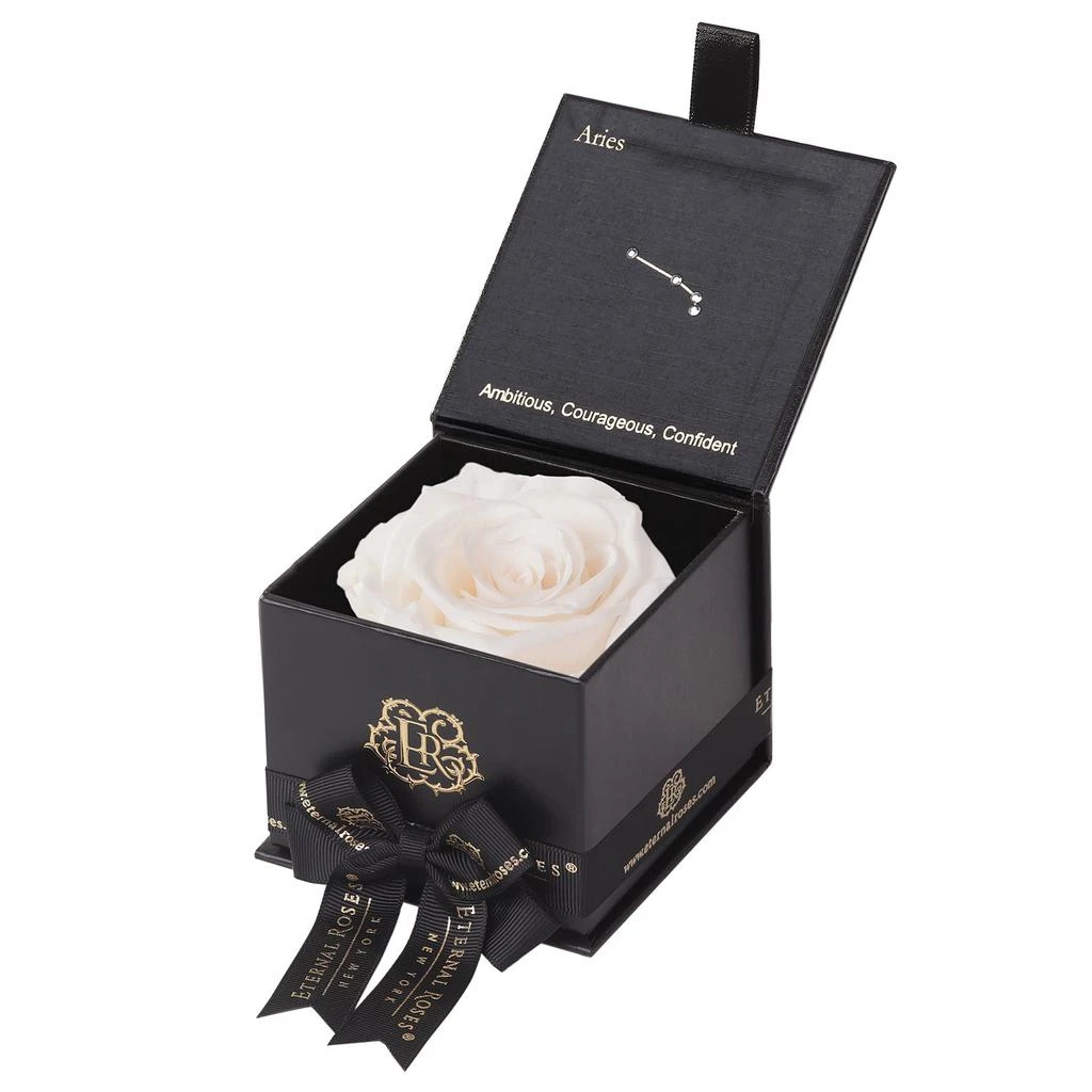 Astor Gift Box in Aquarius 商品