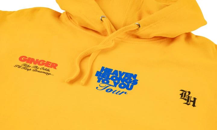 商品BROCKHAMPTON|BROCKHAMPTON BH Pictures Hoodie,价格¥700,第4张图片详细描述
