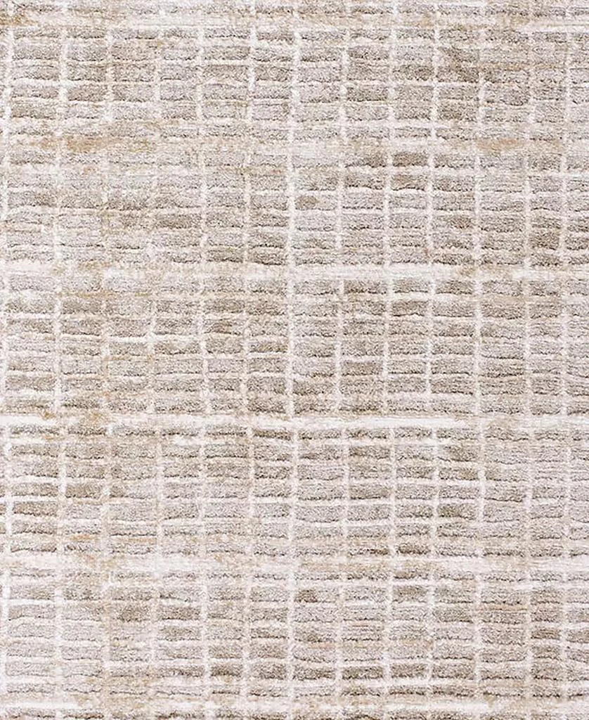 商品Livabliss|Delight Shag DEL-2305 5'3"x7' Area Rug,价格¥3433,第3张图片详细描述