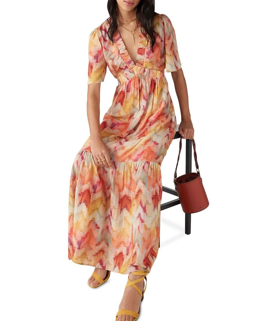 Axana Cotton Printed Maxi Dress 商品