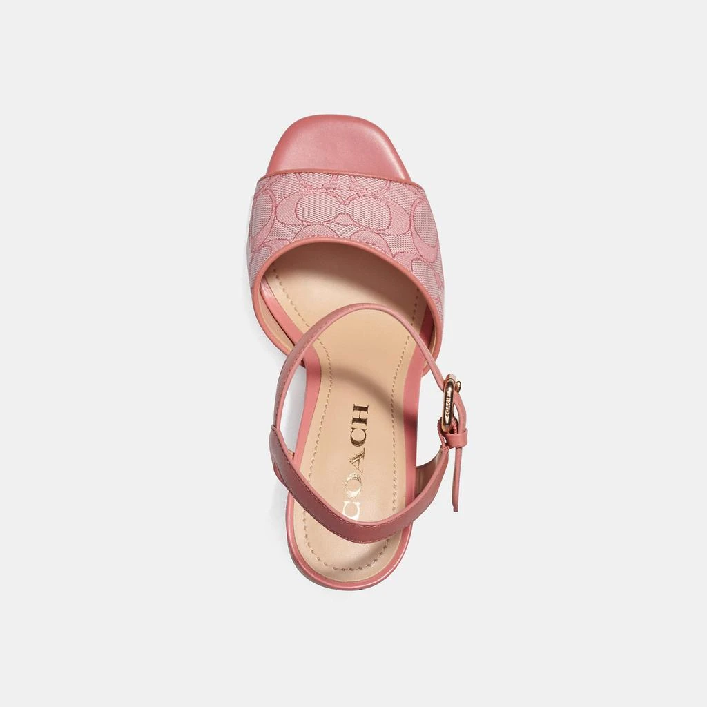 商品Coach|Coach Outlet Maddy Sandal,价格¥518,第2张图片详细描述