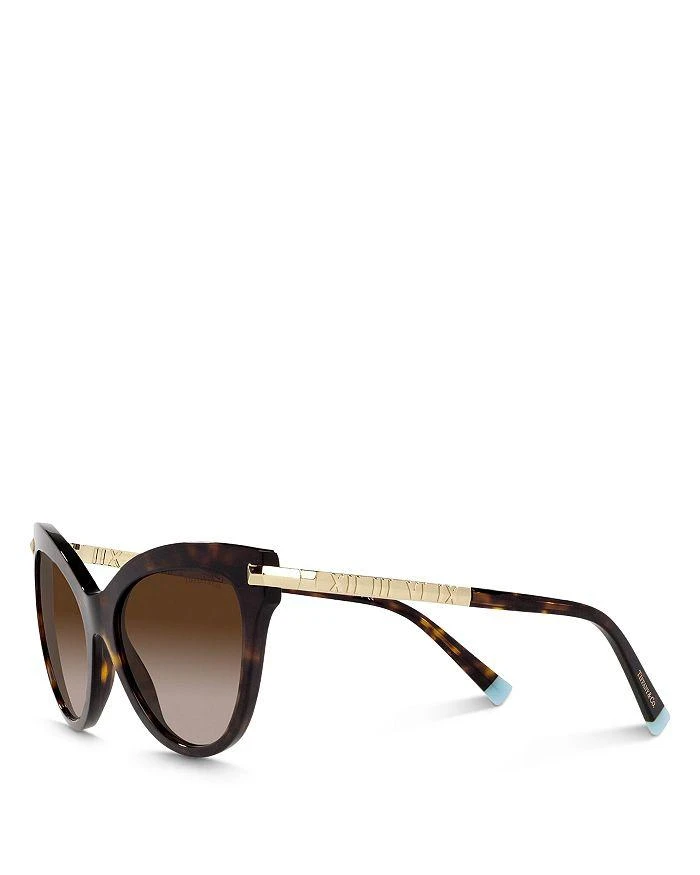 商品Tiffany & Co.|Women's Pillow Cat Eye Sunglasses, 55mm,价格¥2836,第3张图片详细描述