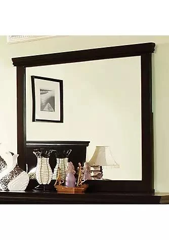 商品belk|Range Pebble Contemporary Espresso Mirror,价格¥3019,第1张图片