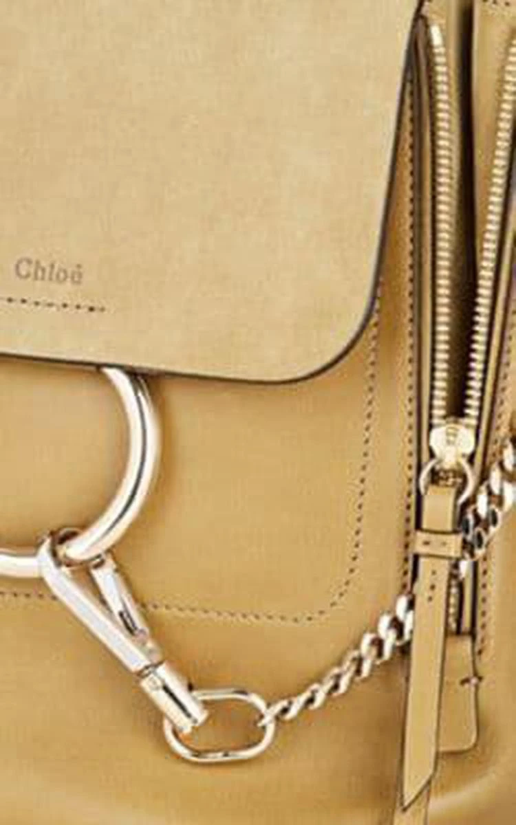 商品Chloé|Faye Medium Backpack,价格¥9591,第5张图片详细描述