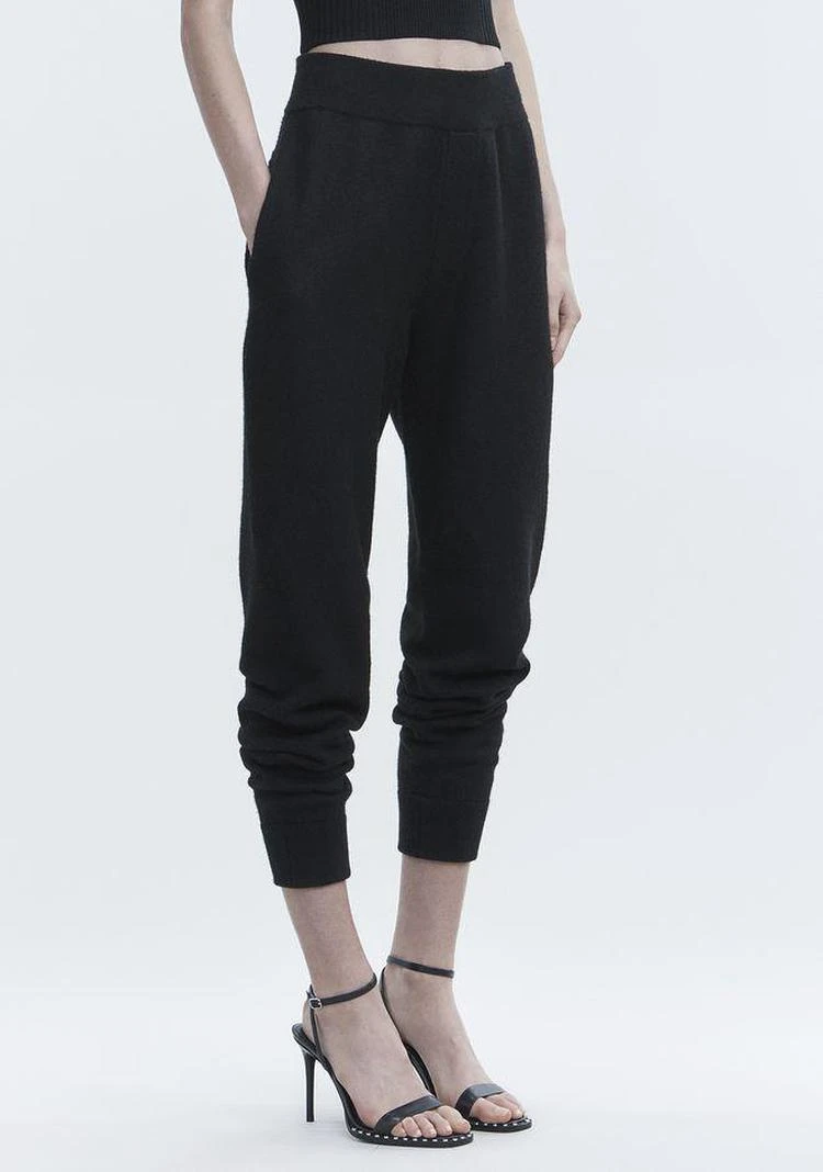 商品Alexander Wang|BOILED WOOL SWEATPANTS,价格¥1054,第3张图片详细描述