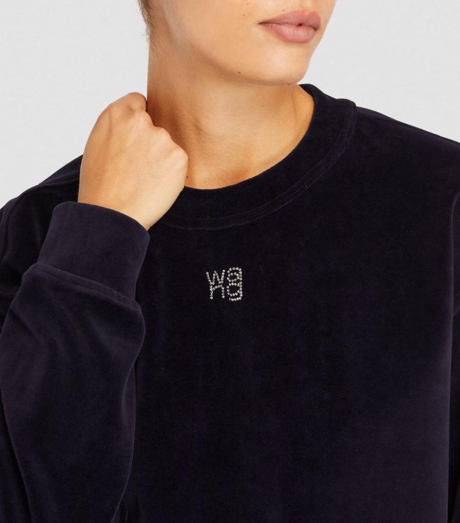 Velour Logo Sweatshirt商品第6张图片规格展示