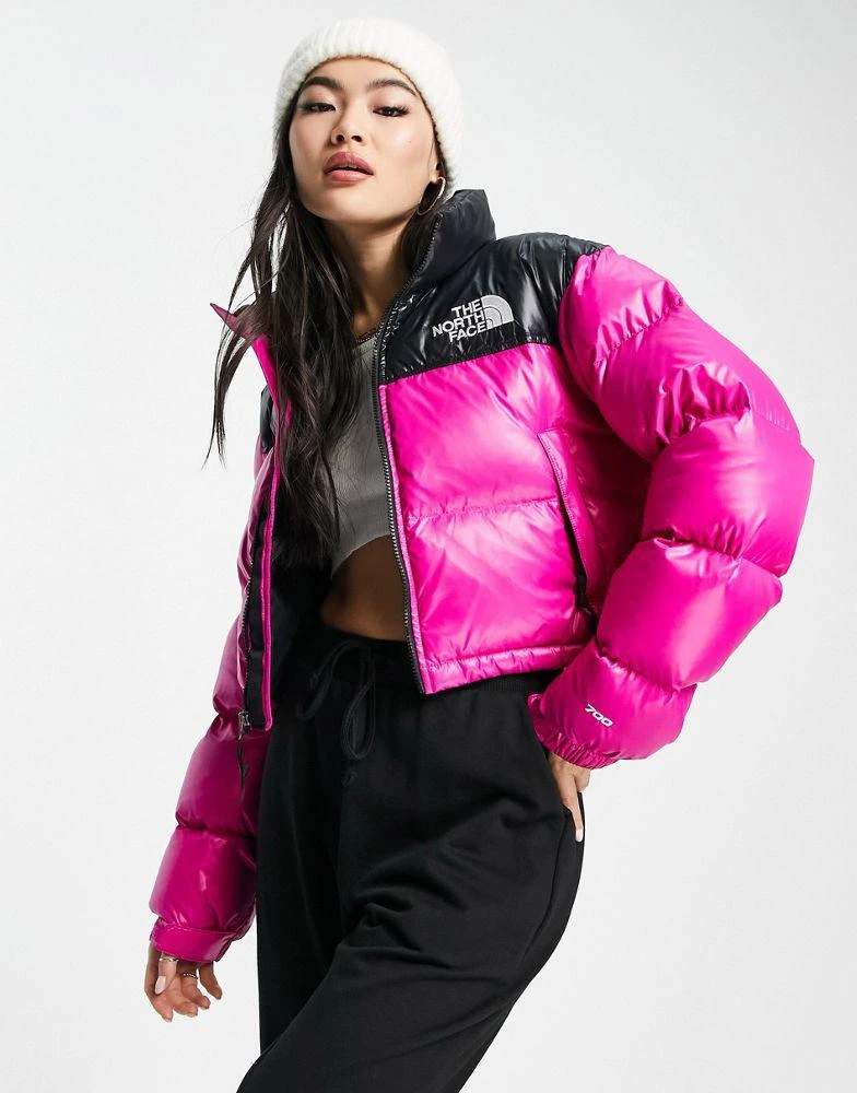 商品The North Face|The North Face Nuptse cropped down jacket in pink and black,价格¥1436,第1张图片