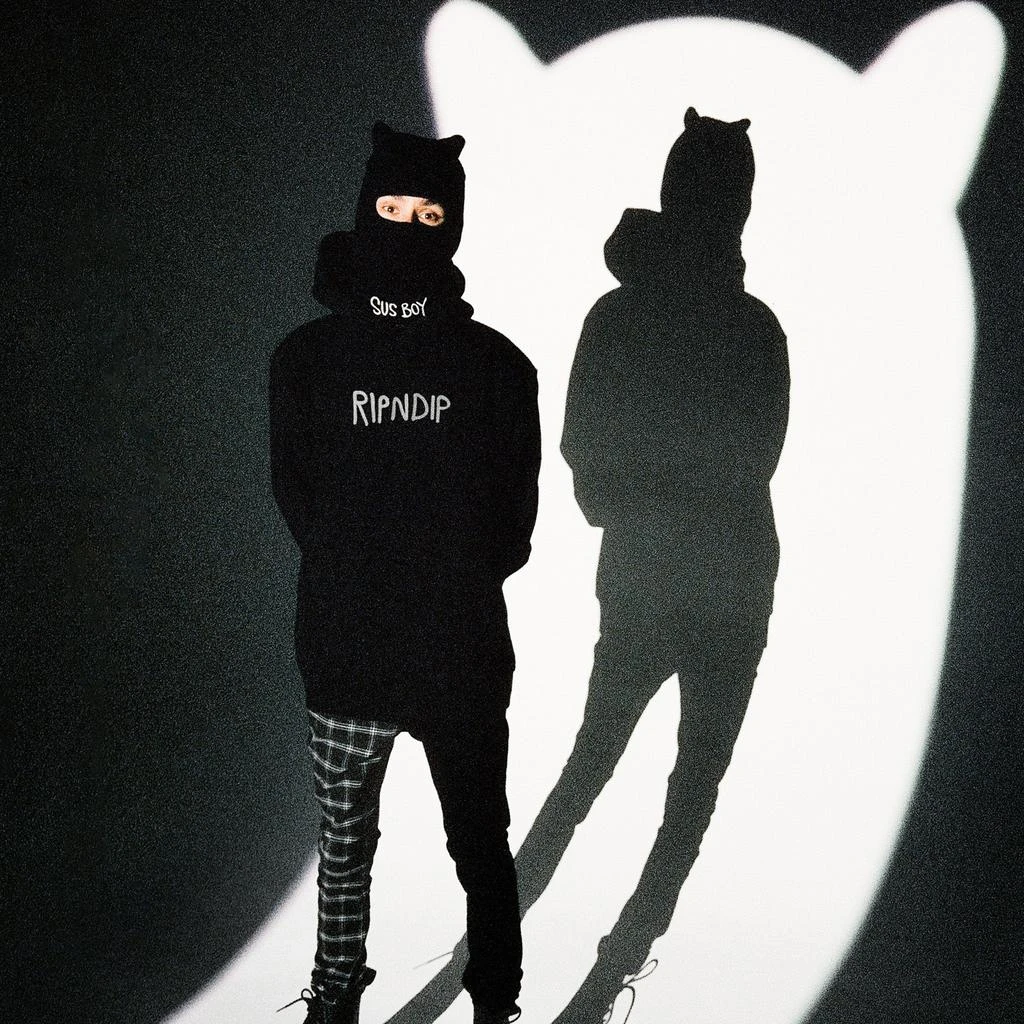 商品RIPNDIP|Ripndip X Sus Boy Hoodie (Black),价格¥340,第4张图片详细描述