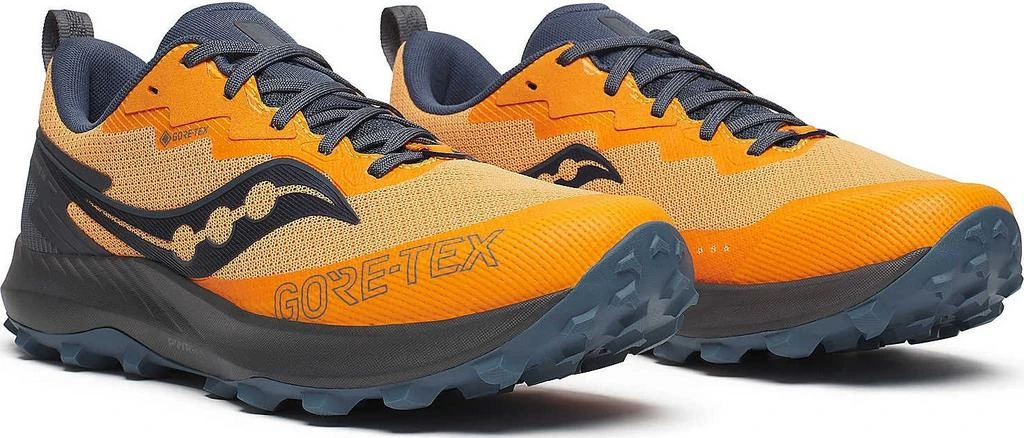 Peregrine 14 Gtx Shoes - Men's 商品