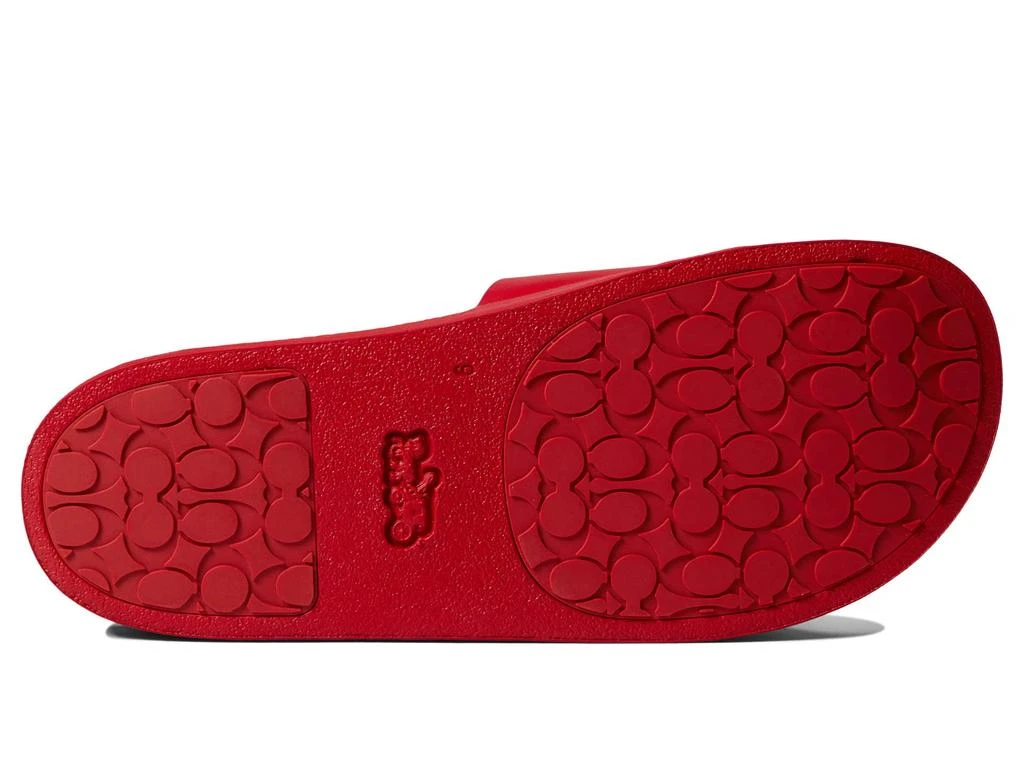 商品Coach|Disney Parks Mickey and Minnie Motif Sports Slide,价格¥665,第3张图片详细描述