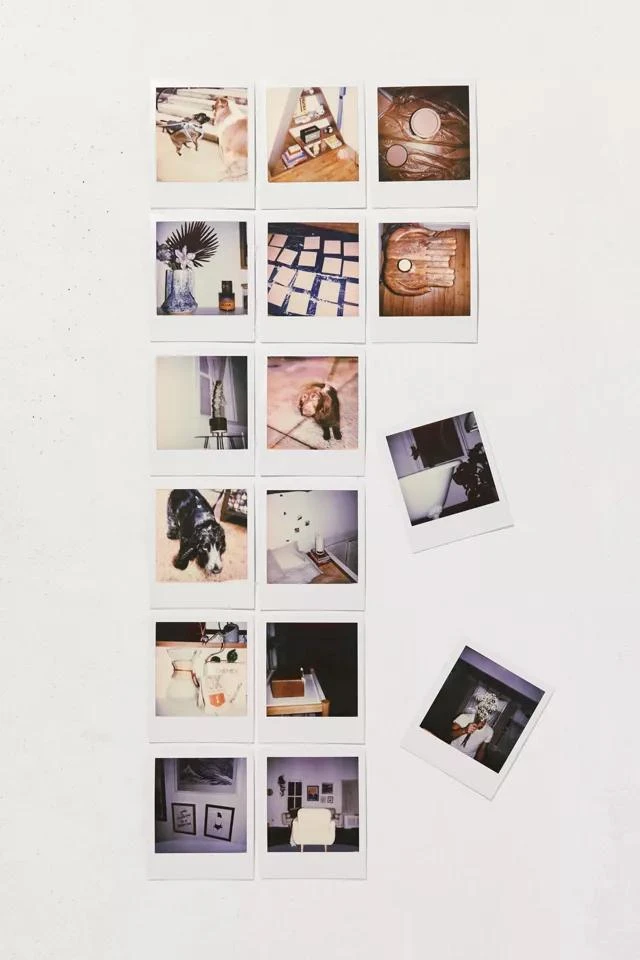 商品Polaroid|宝丽来 胶片 兼容Color 600,价格¥261,第2张图片详细描述