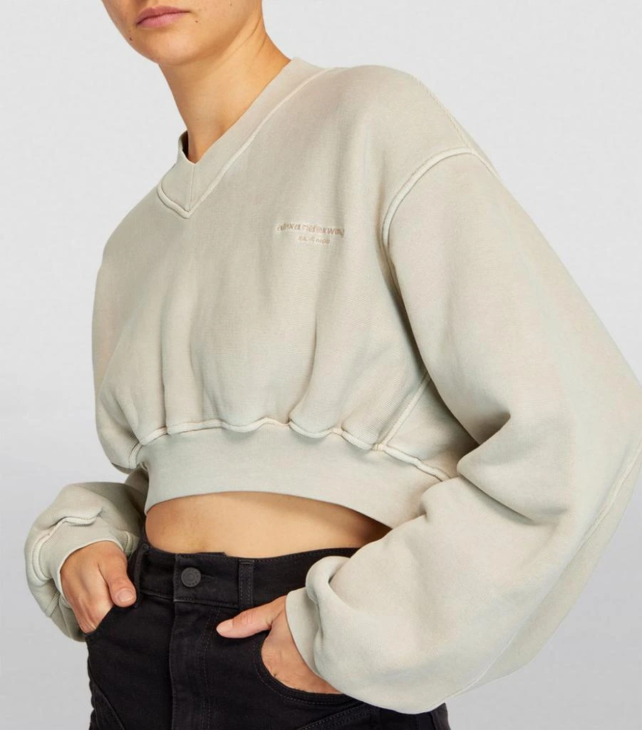 Cropped V-Neck Sweatshirt 商品