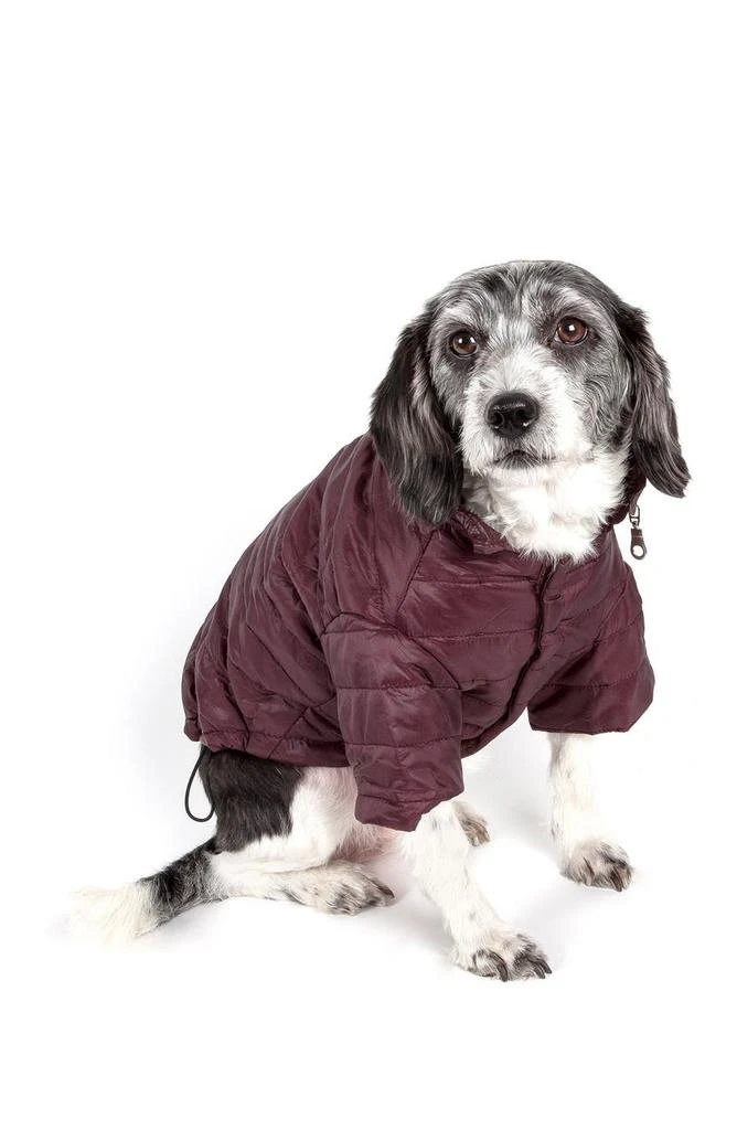 商品PETKIT|Lightweight Adjustable Sporty Avalanche Pet Coat - Small,价格¥281,第3张图片详细描述