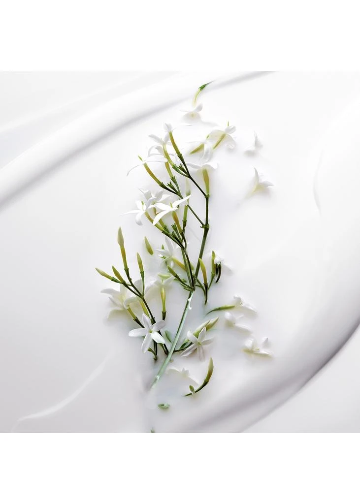 商品Dior|Dior J'adore Beautifying Body Milk 200ml,价格¥588,第3张图片详细描述