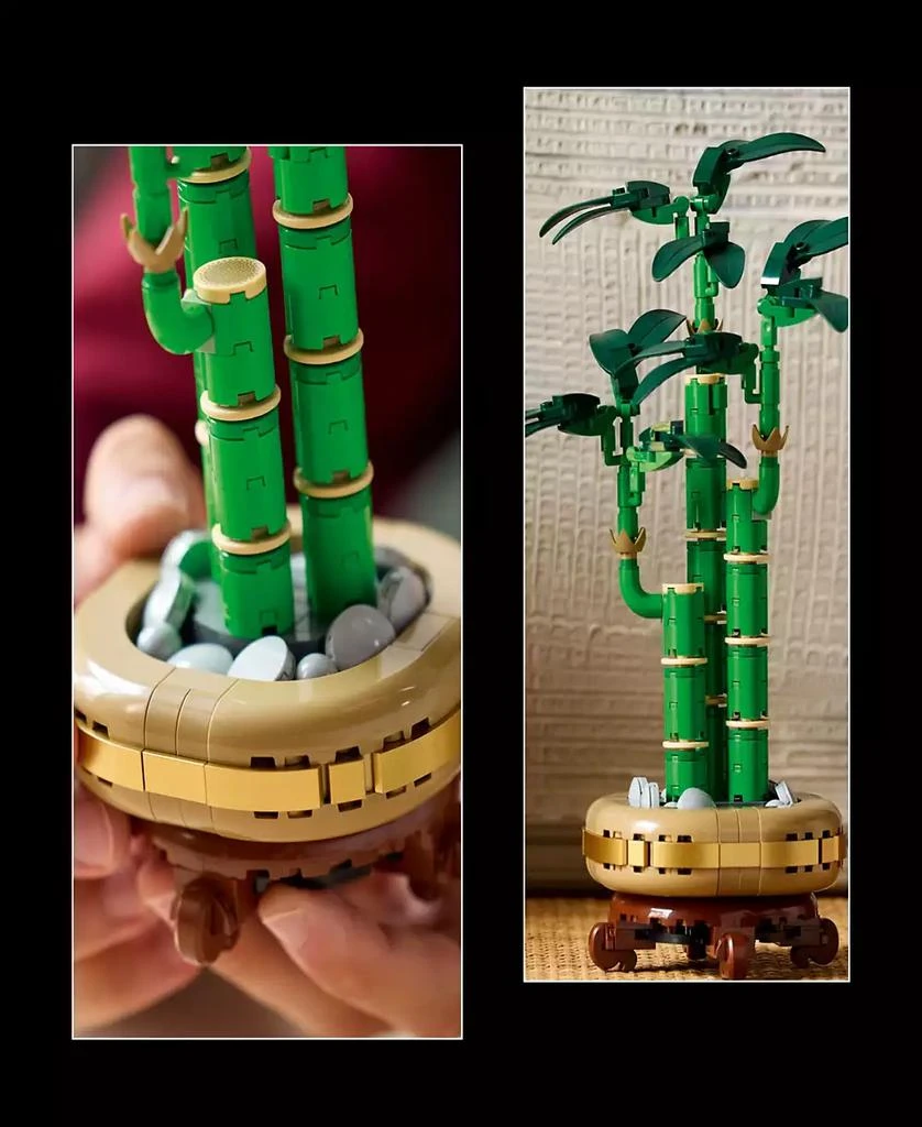商品LEGO|Botanicals Lucky Bamboo Building Set 10344, 325 Pieces,价格¥189,第3张图片详细描述