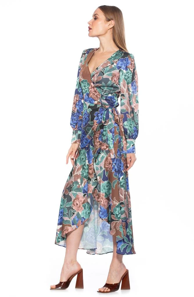 商品ALEXIA ADMOR|Floral Long Sleeve Wrap Maxi Dress,价格¥638,第5张图片详细描述