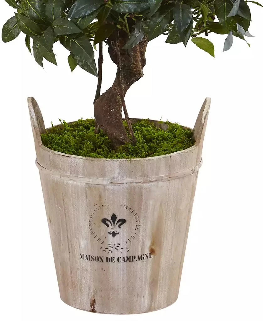 商品NEARLY NATURAL|4.5' Sweet Bay Double Topiary Artificial Tree in Farmhouse Planter,价格¥1720,第3张图片详细描述