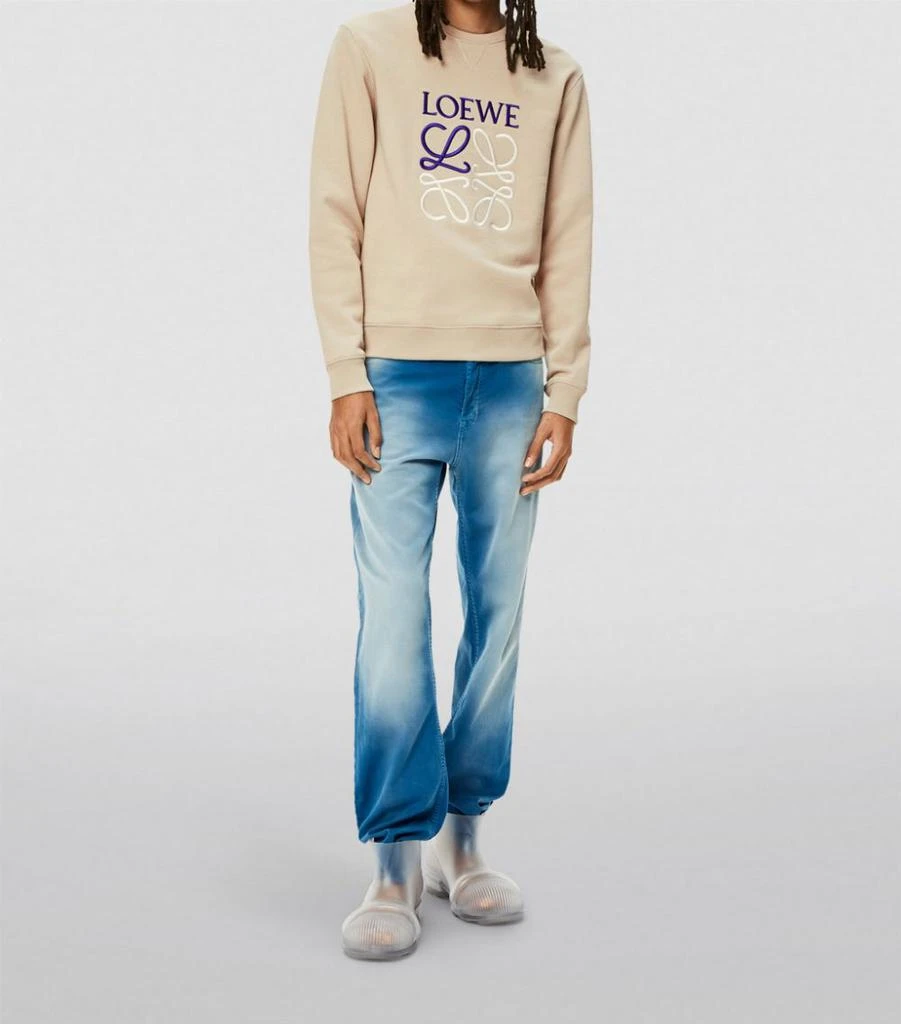 商品Loewe|Cotton Anagram Sweatshirt,价格¥6082,第2张图片详细描述