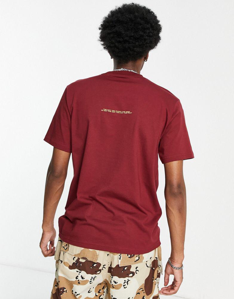 Carhartt WIP seeds t-shirt in burgundy商品第4张图片规格展示