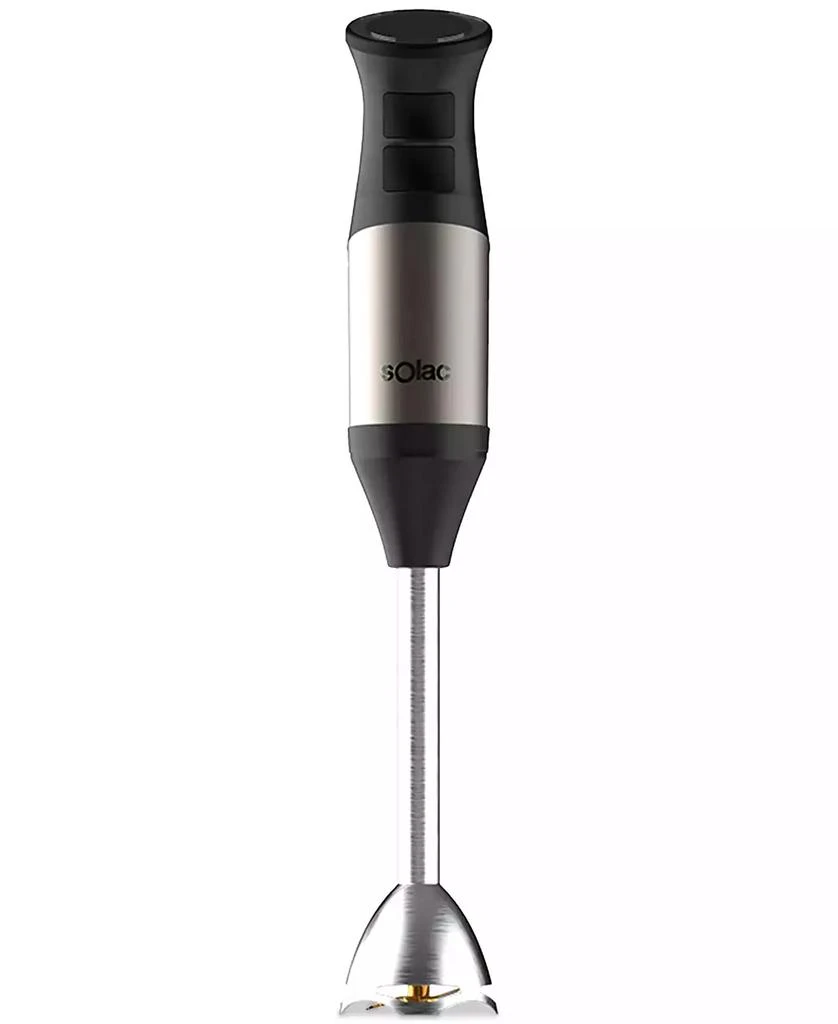 Professional Stainless Steel 1000W Hand Blender 商品