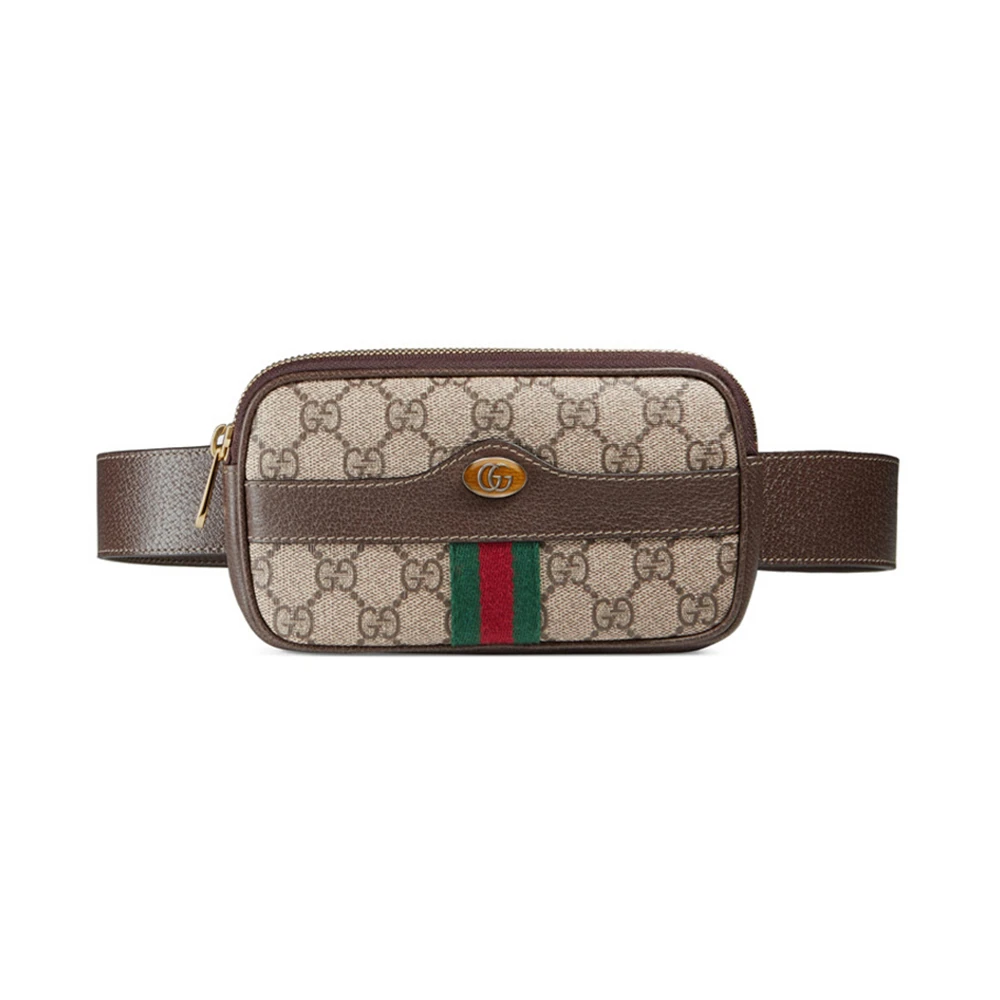 商品Gucci|GUCCI 棕色女士腰包 519308-96IWS-8745,价格¥4216,第1张图片