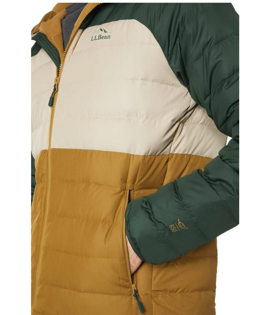 商品L.L.BEAN|Bean's Down Hooded Jacket Color-Block,价格¥669,第3张图片详细描述