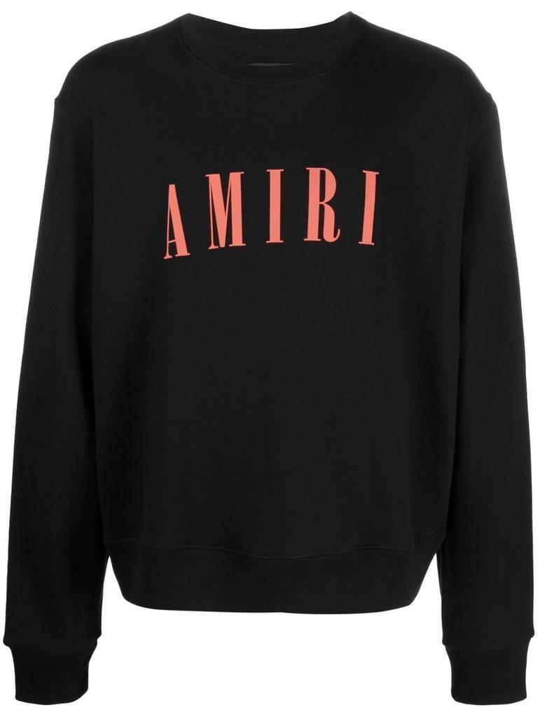 商品AMIRI|Core logo sweatshirt,价格¥3910,第1张图片