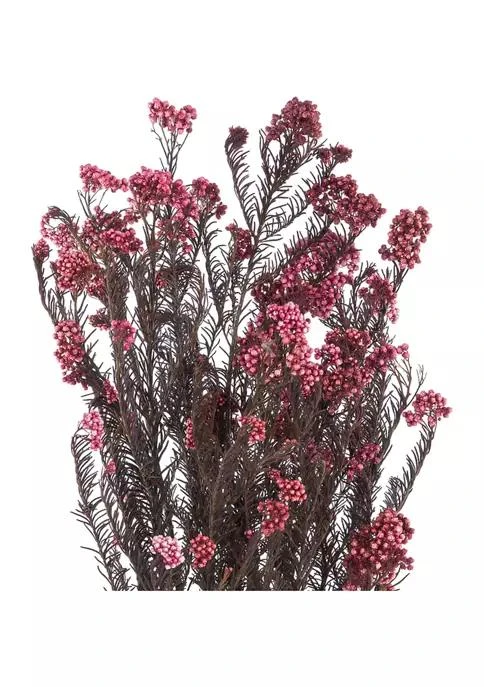 商品Vickerman|Wild Berry Rice Flower 4-5 Ounce,价格¥351,第2张图片详细描述
