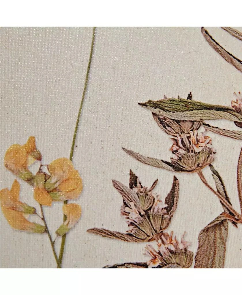 Martha Stewart French Herbarium Set Framed Linen Canvas 2-Pc Set 商品