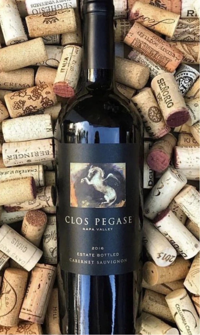 商品[国内直发] Clos Pegase|飞马酒庄纳帕谷赤霞珠干红葡萄酒 2019 | Clos Pegase Napa Valley Cabernet Sauvignon 2019 (Napa Valley, CA),价格¥1004,第1张图片