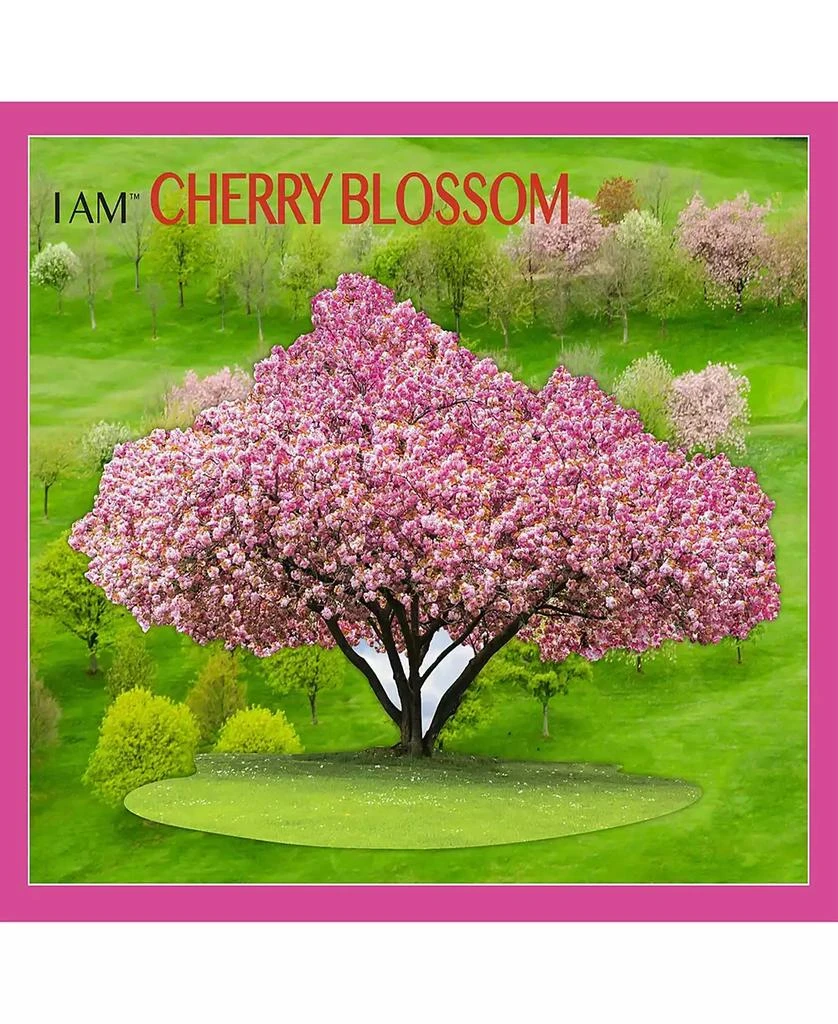 商品Madd Capp Games|I am Cherry Blossom Puzzle,价格¥210,第5张图片详细描述