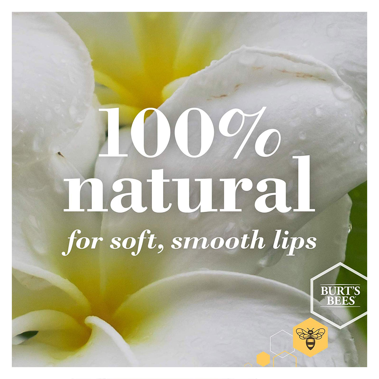 Burt's Bees 小蜜蜂 蜂蜡润唇膏 铁盒装 8.5g商品第3张图片规格展示