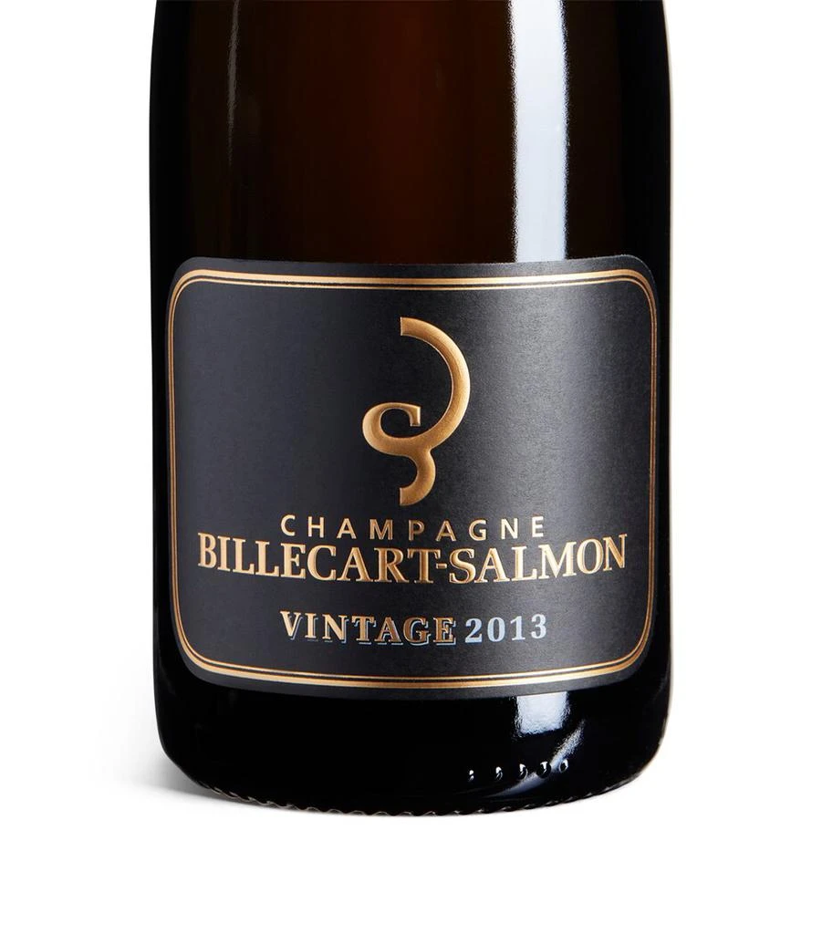 商品Billecart Salmon|Champagne 2013 (75cl) - Champagne, France,价格¥716,第3张图片详细描述
