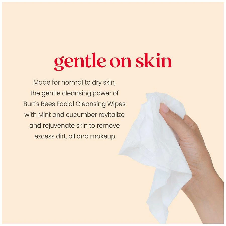 商品Burt's Bees|Refreshing Cucumber + Mint, 2-in-1 Pre-Moistened Towelettes Cucumber and Mint,价格¥57,第5张图片详细描述