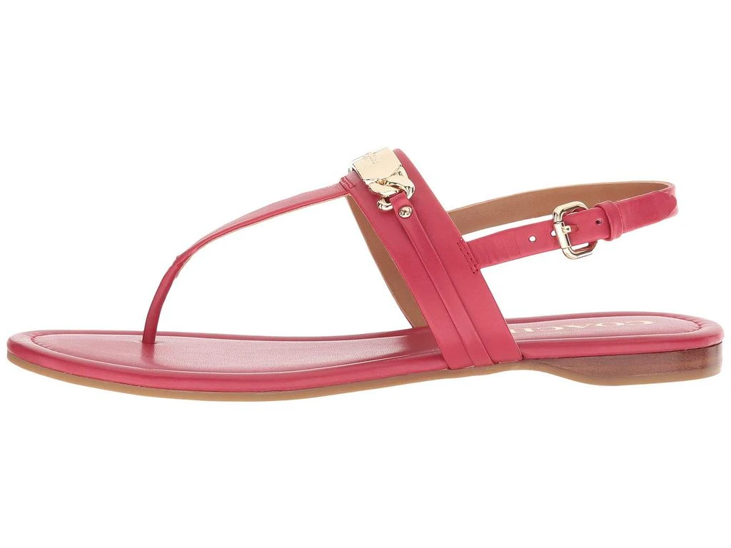 商品Coach|Caterine Sandal,价格¥501,第4张图片详细描述