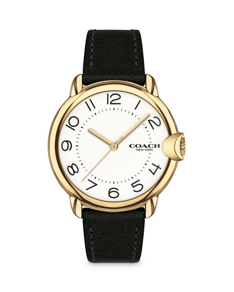 商品Coach|Arden Watch, 36mm,价格¥1376,第1张图片