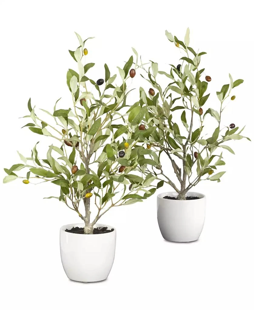 商品NEARLY NATURAL|2-Pc. 18" Olive Tree Set with Vases,价格¥726,第1张图片