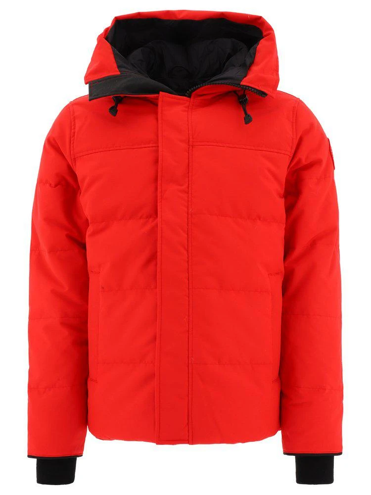 商品Canada Goose|Canada Goose Macmillan Padded Jacket,价格¥3517,第1张图片