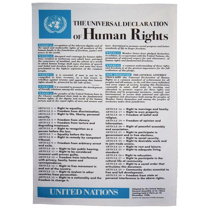 商品Radical Tea Towel|Universal Declaration of Human Rights Tea Towel,价格¥168,第1张图片