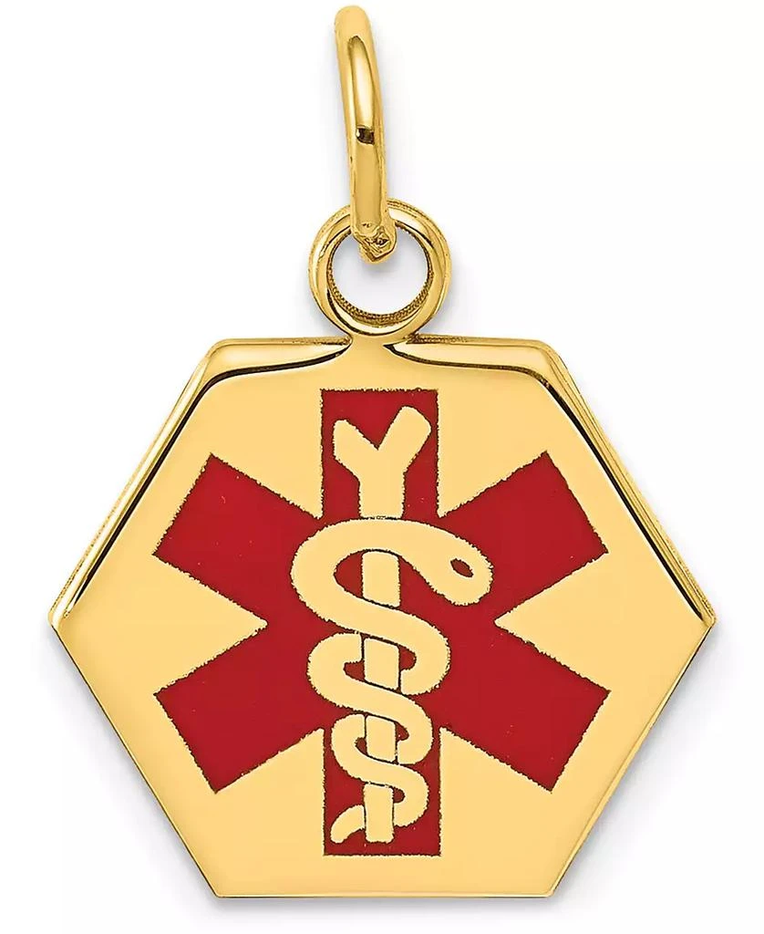 商品Macy's|Medical Info Hexagon Charm Pendant in 14k Gold,价格¥2244,第1张图片