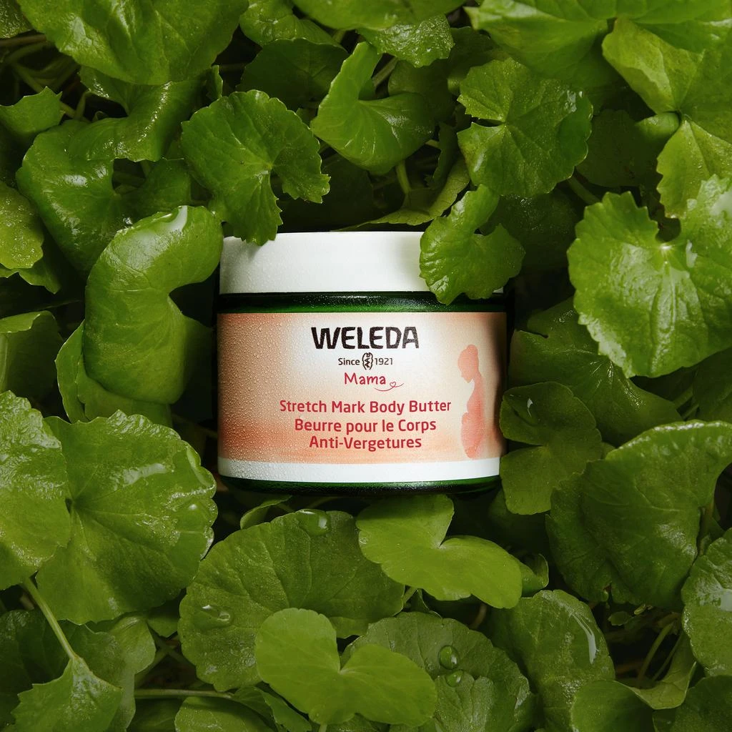 Weleda Stretch Mark Body Butter 150ml 商品