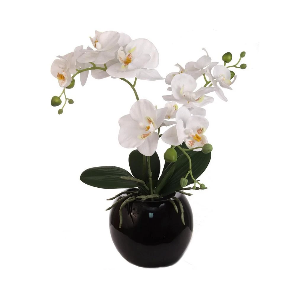 商品Floral Home|Phalaenopsis Orchid Silk  Flower Arrangement 18"  in Decorative Black Ceramic Vase. 14 Inch Diameter,价格¥374,第1张图片