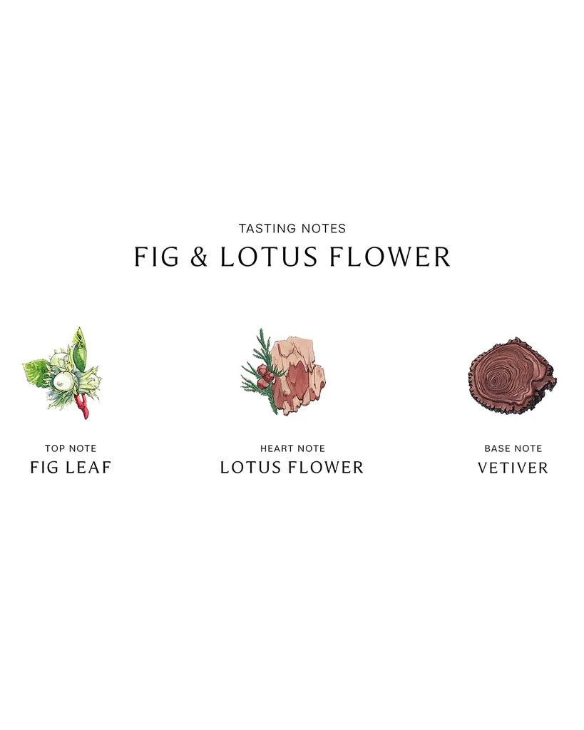 商品Jo Malone London|Fig & Lotus Flower Cologne, 1 oz.,价格¥665,第3张图片详细描述