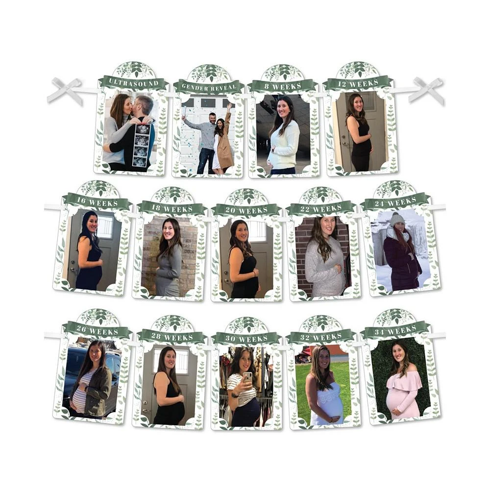 商品Big Dot of Happiness|Boho Botanical Baby - Weekly Pregnancy Picture Display - Photo Banner,价格¥119,第1张图片