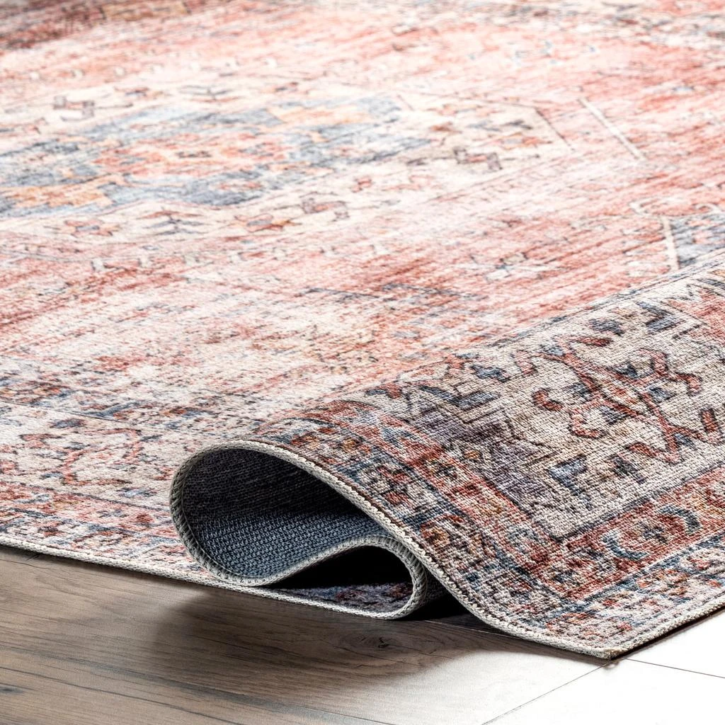 Desna Machine Washable Faded Vintage Area Rug 商品