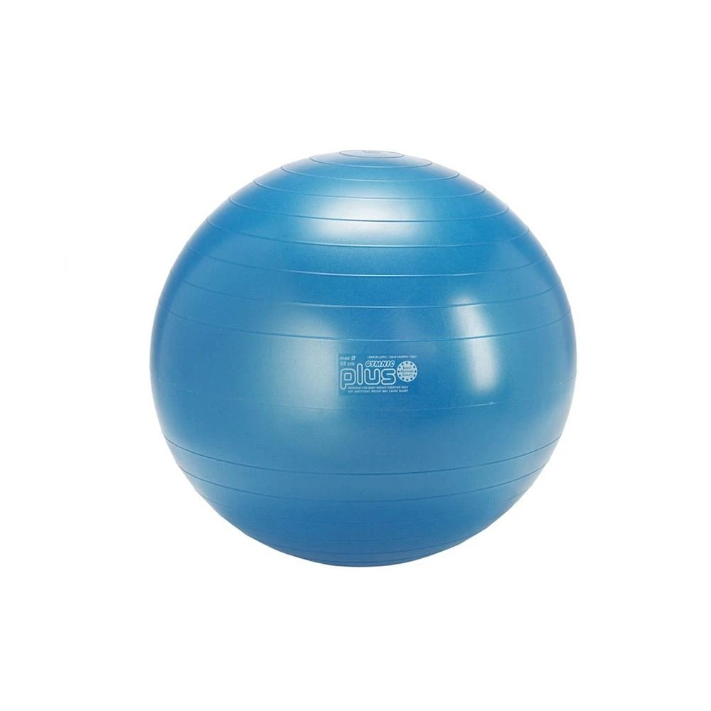 商品Gymnic|Exercise Ball Plus 65,价格¥484,第1张图片